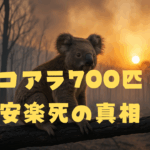 森林火災で焼けたオーストラリアの森の中、黒く焦げた枝に座る一匹のコアラ。その背後には煙が立ち込め、希望を象徴する朝日が昇っている。